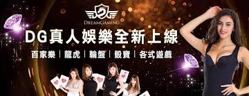 成為DG百家樂代理的專業指南:成功營運和最佳利潤的秘訣